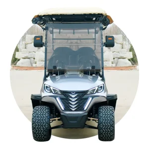 Metal Steel 2 4 6 8 Seat Electric Golf Cart Hunting Off Road Golf Cart with Curtis Controller