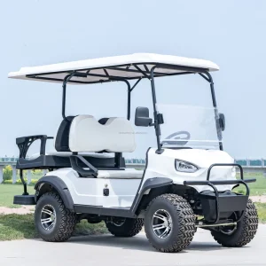 Mini Electric Golf Carts Suitable for Golf Course Practice Personal Transportation Backyard Leisure and Sightseeing