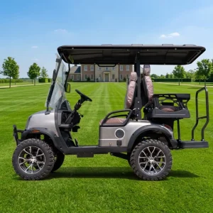Mini Four Wheel Electric Golf Cart 2 Seater with Shading Off Road Design Golf Buggy for Campus Park Neighborhood