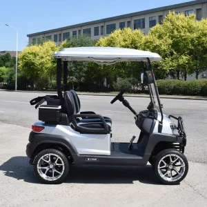 Mini Golf Car 48V Four Wheel Two Seater Chinese Electric Golf Cart