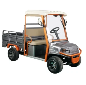 Mini Golf Cart 2 Seater Mini Agricultural Trucks with Rear Box Car 4 Wheel Utility Vehicle