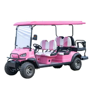 Mini Golf Cart 6 Seater Electric 48v Golf Carts