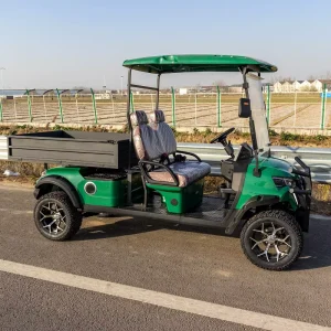 Mini Lifted Golf Cart Utility Carts With Trailer Box