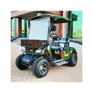 Model Electric Trolley 2 People Discounted Price Mini Golf Cart 30 50Km h Speed 70 90km Range CE Certified 200 250mm Ground