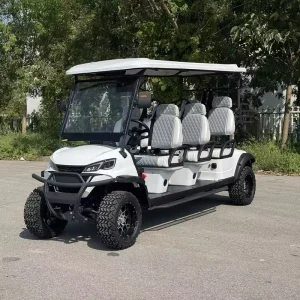 Model Golf Carts Powered 6 Seater Facing Forward Electric Golf Cart
