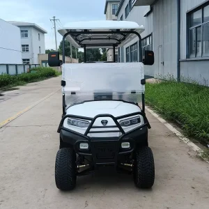 Model Golf Carts Powered 8 Seater Facing Forward Electric Golf Cart