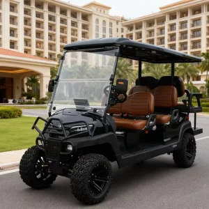 Model Luxury Seater Electric Golf Cart with CE Lithium Battery 5KW AC Motor Customizable Color Golf Buggy