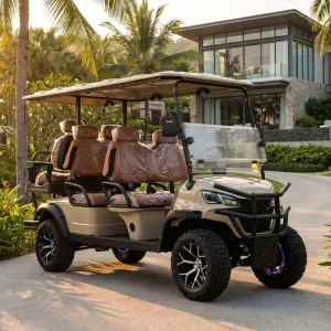 Modern Large Capacity 6 Seater Electric Golf Cart for Community