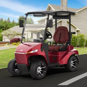 Multi Purpose Utility Golf Vehicle Single Comfortable Seat Golf Cart with Navigation and Touch Screen Display for Golf Courses