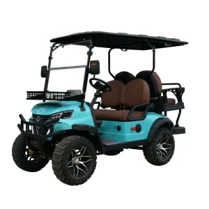 Multifunctional Classic Small Golf Cart 2-4 Seat Electric Golf Cart with High Quality