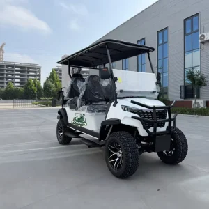 Multifunctional Golf Cart Street Legal 6 Seater Utility Electric Golf Car Cart OEM Support and Fast Delivery