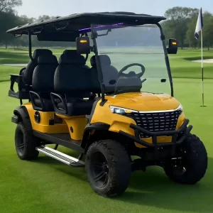 Multimedia Golf Cart 6 Seater Utility Golf Cart Off Road Golf Cart Golf Cart for Resort Electric Utility Vehicle