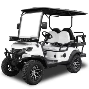 New 1-2Seater Electric Golf Carts for Sale Lithium Battery Golf Cart Carro De Golf Electrico