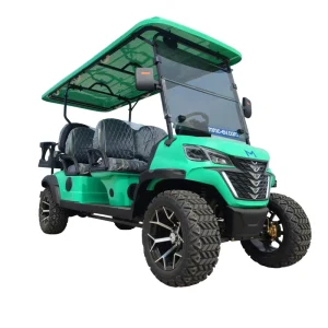 New 2/4/6/8 Seater Electric Golf Buggy Carts 48V/72V Lithium Battery with Custom Features