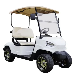 New 2 Dears High Performance Electric Lithium Battery Golf Cart Made in Jiangsu