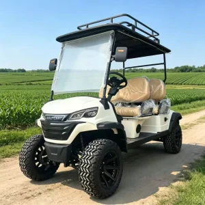 New 48 60 72V 4WD 4 Seats Electric Golf Cart with Aluminum Alloy Frame and Roof Mounted Luggage Basket