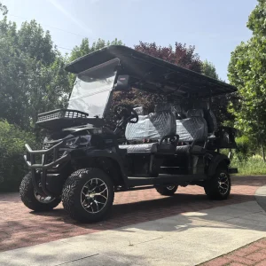 New 6 Seater Electric Golf Cart 60V Lithium Battery CE DOT Certified Mini Sightseeing Buggy 50 70km h 70 90km Range Golf
