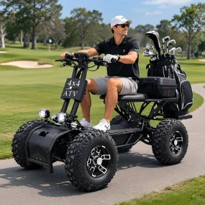 New Design 10000W Motor Electric Golf Scooter Golf Trolley Cart for Adults 4 Wheel 60Ah High Capacity Battery Mobility