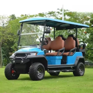 New Design 2/4/6 Seater Golf Carts 48v/72v Electric Golf Carts for Family and Hunting