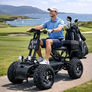 New Design 60Ah 10000W Off Road Electric Golf Cart Scooter Golf Trolley for Adults 4 Wheel Golf Mobility Scooter