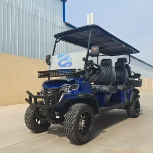 New Design Club Chinese Electric Golf Cart Car 6 Seats Long Range Power Lang Range for Sale