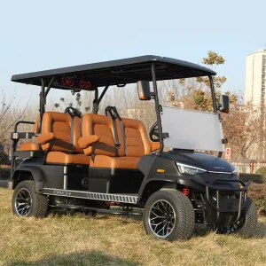 New Design Electric Golf Car DC-G-F4+2 Golf Buggy 6 Seater Factory Customized Golf Cart Price