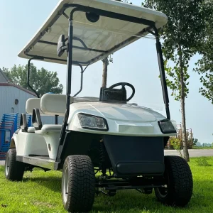 New Design White Color Petrol Golf Cart Electrical Golf Carts 2 Seater Golf Carts