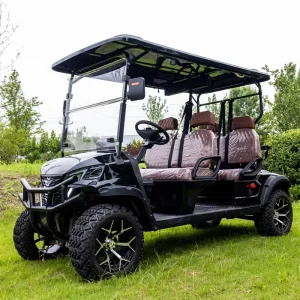 New Electric Golf Cart 2 Seats 60V AC Motor 80km Range Suitable for Golf Courses Resorts and Park Sightseeing