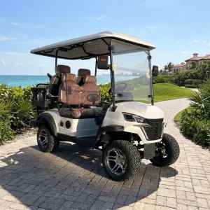 New Electric Golf Cart Equipped with Real time Reversing Camera Suitable for Airport Terminals and Exhibition Centers