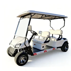 New Electric Golf Cart Lightweight Golf Buggy Custom Logo Color Low Speed Vehicle for Golf Club Private Yard Beach Use