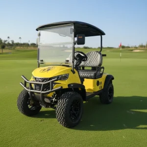 New Energy Electric Golf Cart 2 Seats 72V Road Legal Small Golf Cart for Family Use Economical and Affordable
