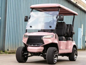 New Energy Vehicle Golf Carts Huaxin Private Mold Golf Cart Electric Motor 4 Seater Road Legal Buggy on Sale