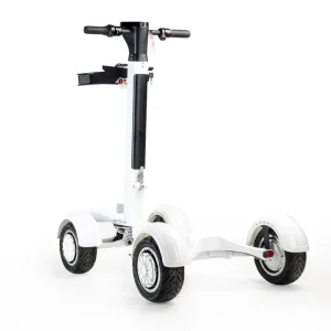 New Fashion Electric Four Wheel Golf Scooter Aluminum Alloy Four Wheel Electric Golf Skateboard and Golf Use