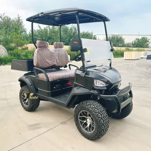 New Low Price Golf Cart with High Quality