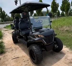 New Mini Luxury Golf Cart 6 Seater Electric Lithium Golf Scooter With Curtis Controller Electric Golf Cart