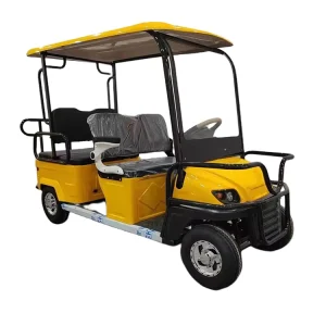 New Model 1200W 6 Seats Mini Golf Cart High Power Four Wheel Electric Tricycle for Adults
