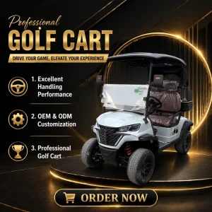 New Model 2 Seater Electric Golf Cart with CarPlay Smart Screen Golf Course Utility Buggy Golf Carts with Golf Bag Holder