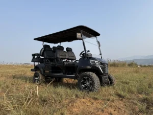 New Model 6 Seats Golf Cart Lithium Battery Luxury Golf Cart Club Car Sport Utility Vehicle in Stock