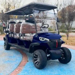 New Model Customization 5KW AC Motor 8 Seater 48V Lithium Battery Metal Solo Electric Golf Cart for Golf Course