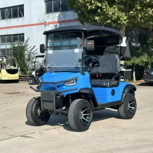 New Model DOT Certified Street Legal 2 Seater 48V Lithium 5kW Motor Electric Golf Cart for Golf and Community Use