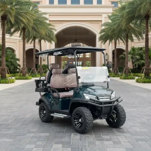 New Model DOT Certified Street Legal 4 Seater 48V Lithium 5kW Motor Electric Golf Cart for Golf Courses Use