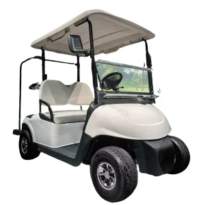 New Model MINI Electric Golf Cart Comfortable Folding Club Sightseeing Car 2 Seats Hunting Buggy Road Golf 30 50Km h 70 90km