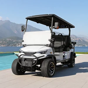 New Products Electric Golf Car DC-G-F4+2 Golf Buggy 6 Seater Factory Customized Golf Cart Price
