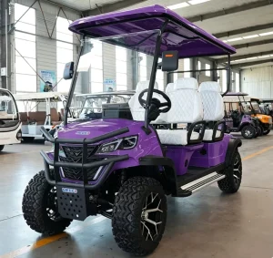 New Stock Custom Street Legal 4 Seater Golf Cart Complete Customization Options