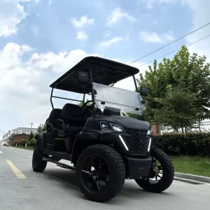 New Style Golf Carts Gas Powered Factory Price Sightseeing 4 Seater Gas Golf Cart