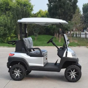 New designed 2 seater electric golf cart 48v golf cart