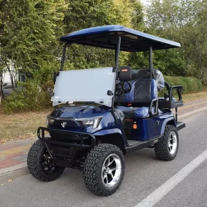 Newly Designed Lithium Battery Golf Cart 48V Electric Golf Cart