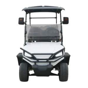 ODM Electric Golf Trolley 4-Seater Off-Road Buggy with Rear 2 Seats for LSV