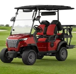 OEM 4 Seater Golf Cart Mini Golf Cart Off Road Golf Cart Golf Buggy Golf Cart Multimedia Golf Cart