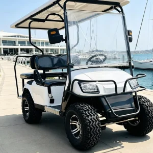 OEM 40ft Container Load 4 Seat Electric Golf Cart for Fleet Order
